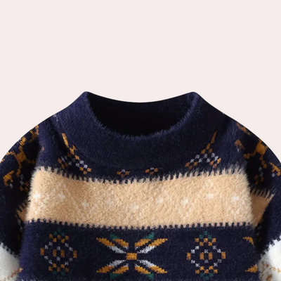 BIRDHIL - Eleganter Pullover für Männer