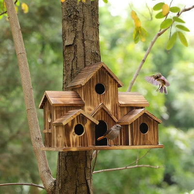 WillowNest funktionelles Vogelhaus aus Holz