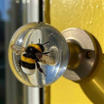 TürPop™ Kreatives Tür-Upgrade