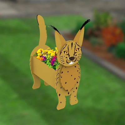 Luchs Blumenpflanze Topf