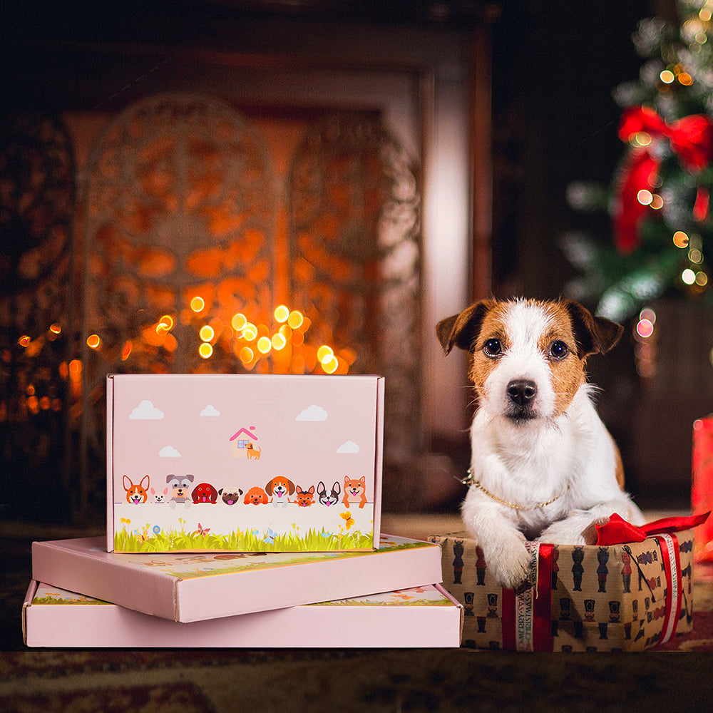 Schwarz-Weißer Jack Russell Blumentopf