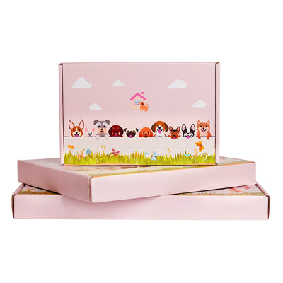 Blumentopf mit Britisch Kurzhaar Katze