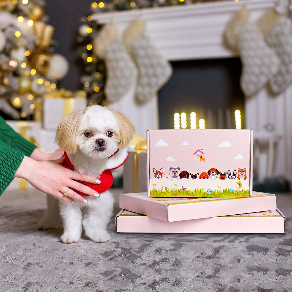 Cavoodle Pflanzgefäß