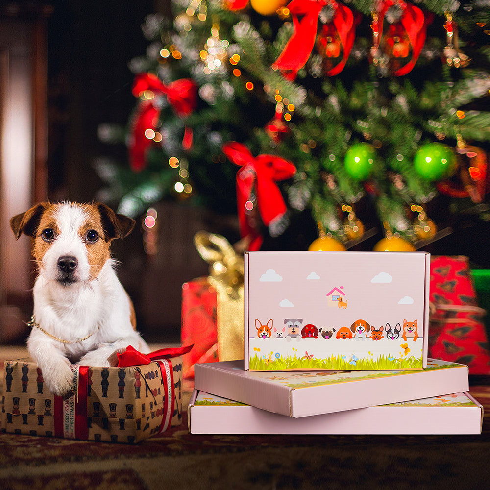 Staffordshire Bull Terrier Flower Pot